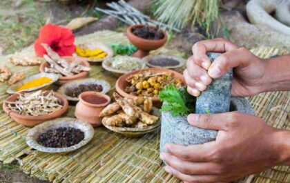 Well Health Organic Ayurveda
