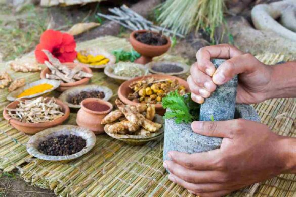 Well Health Organic Ayurveda