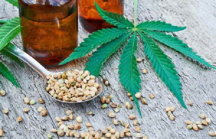 Cannabidiol Write For Us (1)