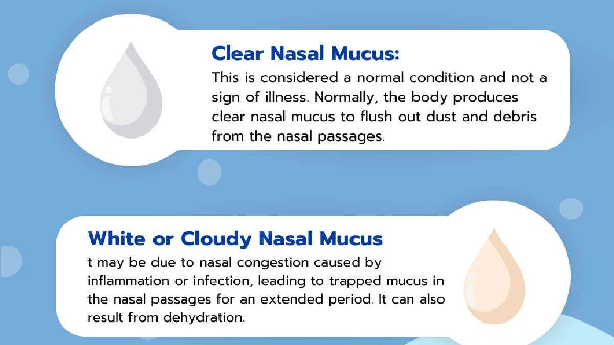 Understanding Thick Rubbery White Mucus from the Nose: Causes