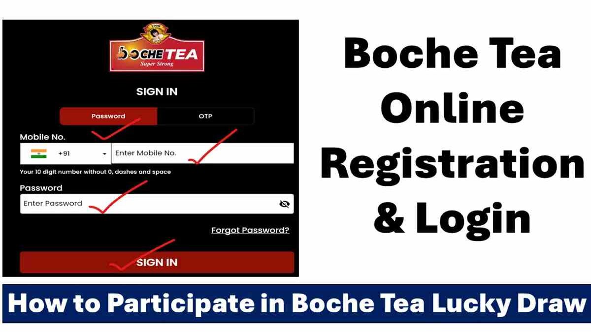 www boche tea com login register – Comprehensive Guide