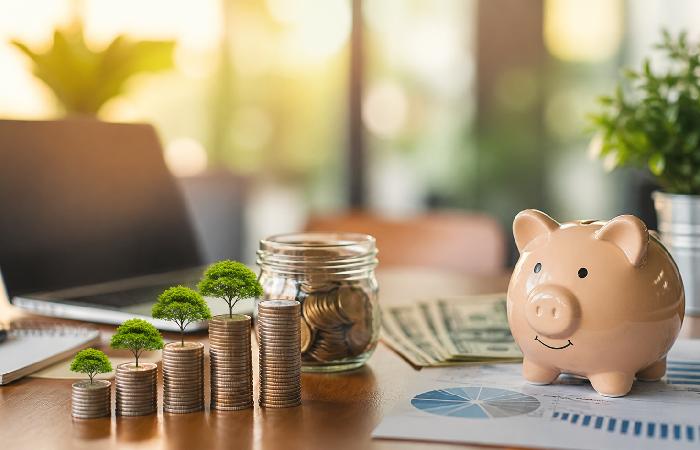 what Is roarleveraging finance infoguide 