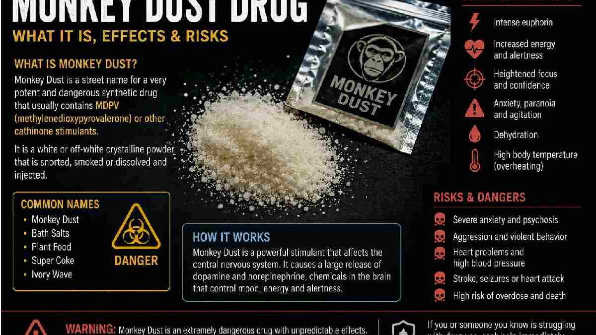 What is Monkey Dust Drug?